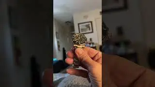 Bliger PT5000 Subby