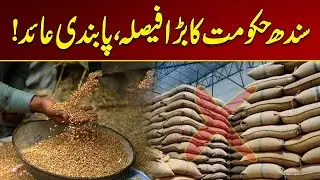 Sindh Government's Big Decision, Ban Imposed | Breaking News | City 21