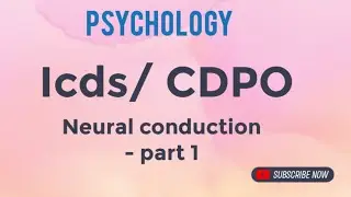 icds/cdpo - neural conduction