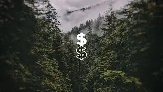 Solo - Cloud Forest Meditation - 8D