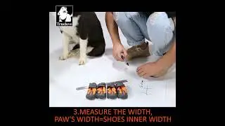 how to measure Truelove shoes 3961 soft dog shoes