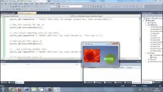 C# WPF Tutorial 4  SQLite database connection with WPF C# PART  2 2