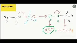preparation of Alkyl halides||Preparation Of Alkyl halides from thionyl chloride||for class 12
