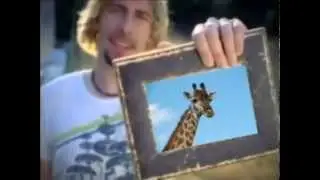 LOOK AT THIS GIRAFFE - ORIGINAL!
