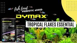 Fishes gone frenzy with DYMAX Tropical Flakes Essential | DYMAX fish food