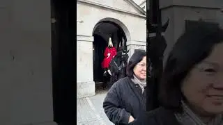 Реакция туристов на возможность увидеть королевских лошадей вблизи