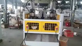 FULLY AUTO WRINKLE PLATE MACHINE BY RUBY AUTOMATION