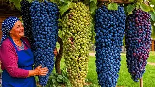 Mountain Wild Blueberry: The BEST homemade kutabs with herbs and cheese! A rustic recipe