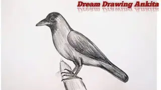 Crow Drawing Easy step by step | Crow Drawing Easy | How to draw a crow 🐦&zwj;⬛ @DreamDrawingAnkita