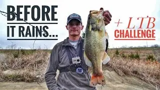 Crazy BITE before the Rain [LTB Challenge]