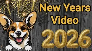 New 2026 Breyer Review!