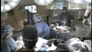 Holiday Inn Express Surgeon