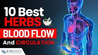 𝗜𝗺𝗽𝗿𝗼𝘃𝗲 𝗕𝗹𝗼𝗼𝗱 𝗙𝗹𝗼𝘄 𝗖𝗶𝗿𝗰𝘂𝗹𝗮𝘁𝗶𝗼𝗻 - 10 Proven Herbs