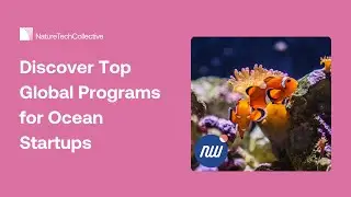 Ocean Startup Accelerators Powering 2025&rsquo;s Blue Economy