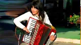 The Most Beautiful Accordion Hits - Una Paloma Blanca, Jambalaya, Hello Mary Lou,  Angelina, Ci Sara