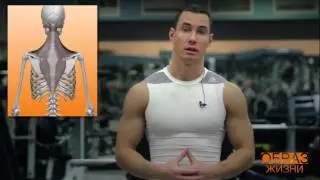 Правильная осанка/Коррекция кифоза
