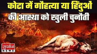 कोटा में गौहत्या या हिंदुओं की आस्था को खुली चुनौती...?Cow Slaughter I Kota News I Rajasthan