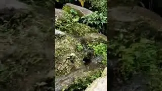Balite hideout falls
