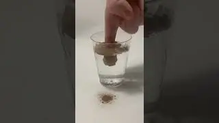 Cinnamon powder is hydrophobic (water-hating)&hellip; #science #cinnamon #hydrophobic #ladybugscience #h2o