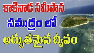 Hope Island Kakinada | AP Tourism | Best Island To Visit | Godavari | Maredumalli | Telugu Swaram