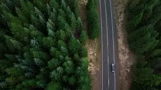 Free Forest Drone Footage || Free HD Video (No Copyright)