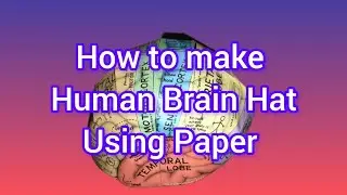 Simple Project | How to make Human Brain using Paper | Biology Project