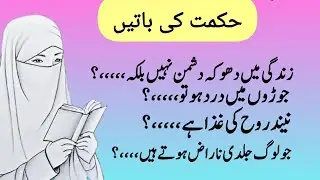Hikmat ki baten 💯 | Quotes about life | Health Quotes | Quotes with Naila 