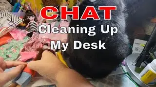 Chat * Cleaning Up My Desk * Graveyard/Cemetery? * Hobbies * Susie Sad Eye Dolls