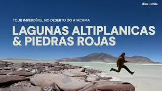 Lagunas Altiplánicas e Piedras Rojas: tour IMPERDÍVEL no Atacama | ATUALIZAÇOES 2026