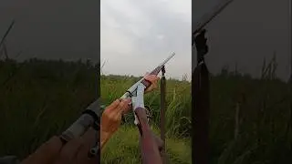 Best 12 Gauge Shotgun for Hunting: A Comprehensive Review