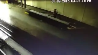 Sage the Gemini Visits the Car Wash