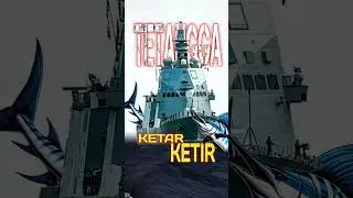 Bikin Tetangga Ketar Ketir #ww3 #indopacific #asean #warships