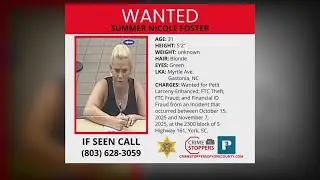 York County woman wanted for credit card theft, fraud