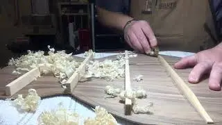 Shaping back braces