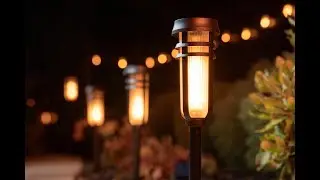 FoxFlame Lighing 2025