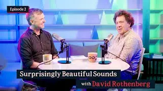 Wild Resonance ep. 2: Surprisingly Beautiful Sounds - David Rothenberg