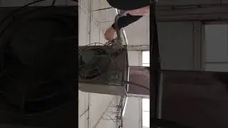 ladder video Heatwe pilot is out in the bays
