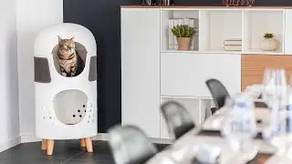 Catrub: The Best Multifunctional All-in-ONE Cat Furniture