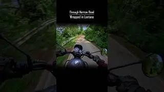 Through Narrow Road Wrapped in Lantana Bushes #meteor350 #royalenfield #lantana #himachal #exhaust