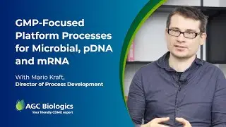 GMP-Focused Platform Processes for Microbial, pDNA and mRNA