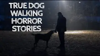 3 True Dog Walking Horror Stories (With Rain Sounds)