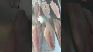 My dear friend look at This beautiful Red mullet fish fillet#video#shots