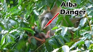 Million Dangerous |Shocking heart see Alba lose power nearly drop down but Anna look not care at all