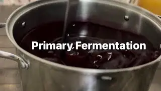 Primary Fermentation