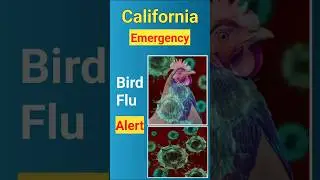 California Bird Flu Alert Emergency