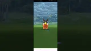 Community Day Grukui