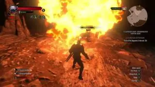 The Witcher 3: Wild Hunt Fighting A Garkain And Fleder Vampire (Deathmarch Difficulty)