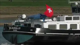 Schiff Rijnvallei auf dem Rhein in Düsseldorf
