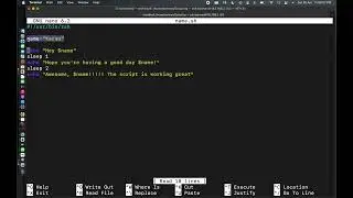 Scripting Basic's: 3