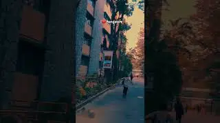 Bangalore nature ❤️#shorts #status #nature #viralvideo #love #bangalore
